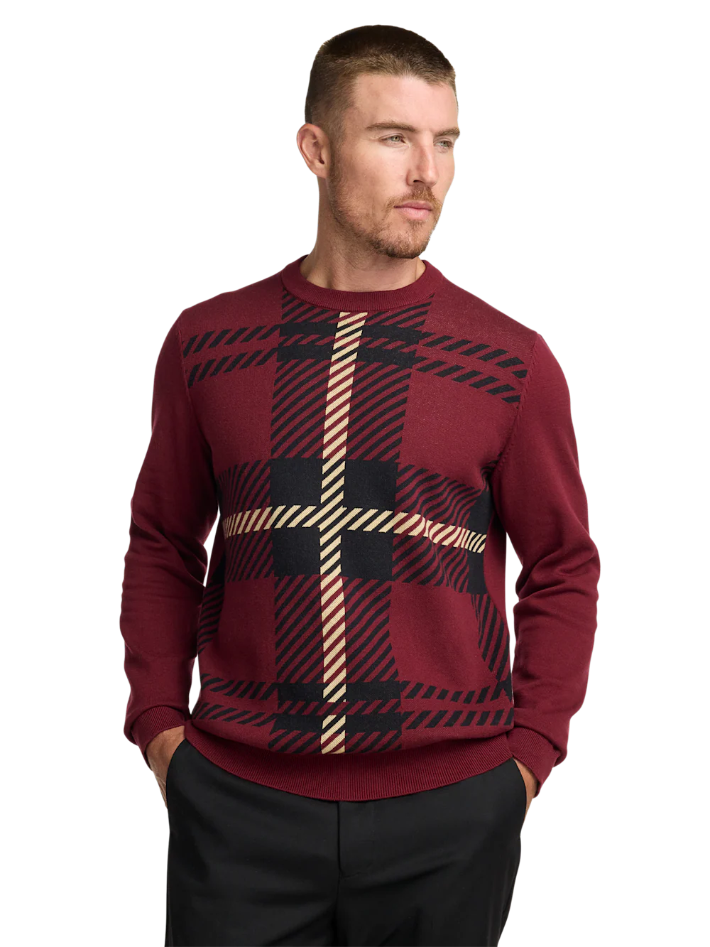 Cotton Crewneck Sweater - Burgundy - Image 2