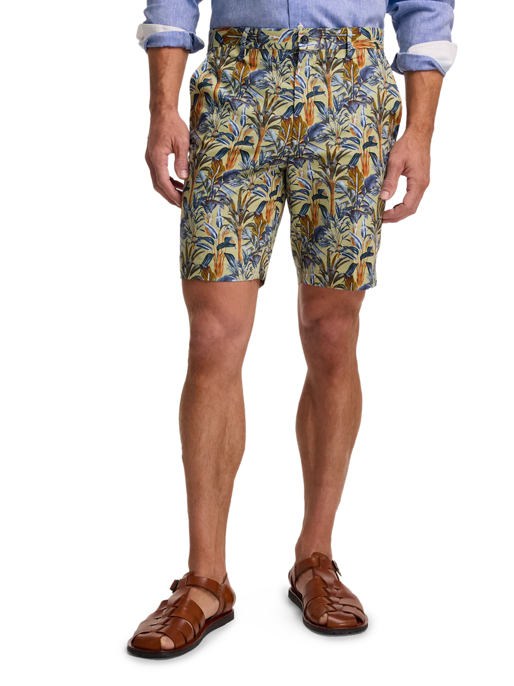 Cotton Printed Flat Front Shorts - Green Multi - Image 2