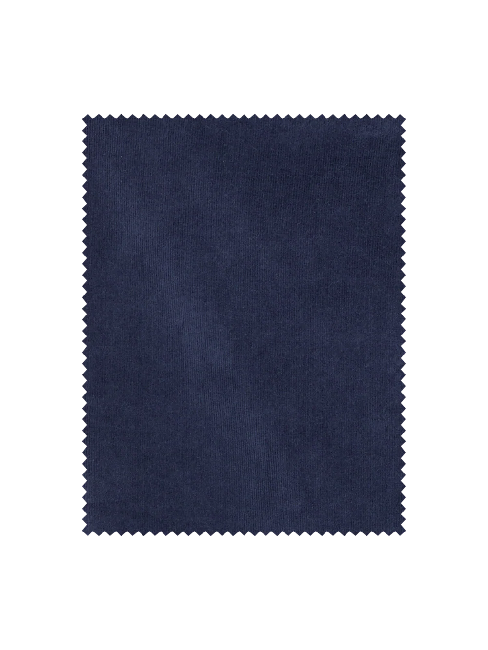 Cotton Stretch Corduroy Pants - Black - Image 6