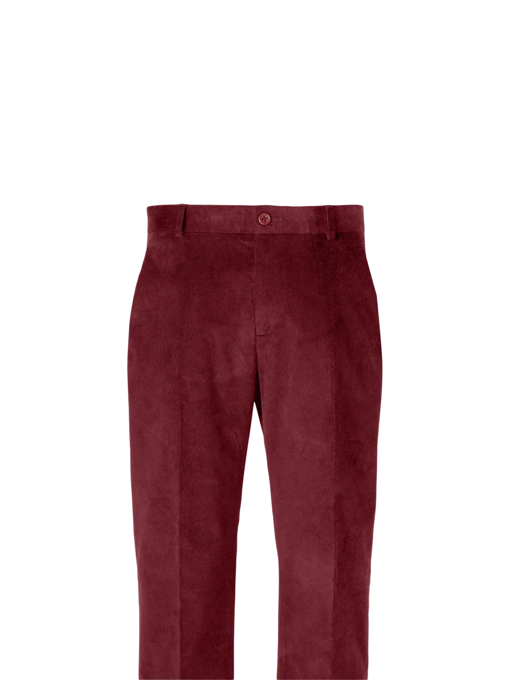 Cotton Stretch Corduroy Pants - Blue - Image 2