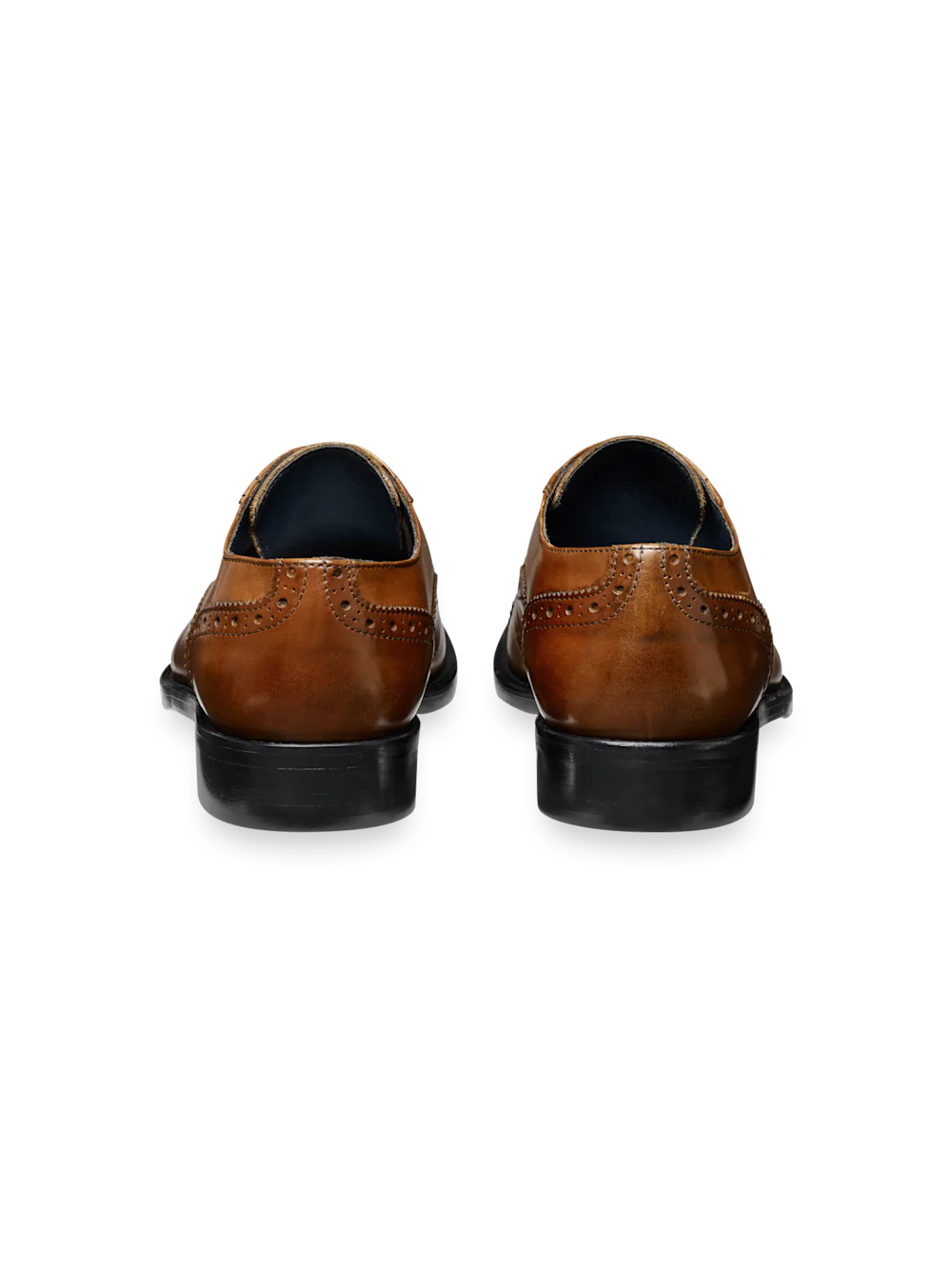 Joey Oxford - Chestnut - Image 4