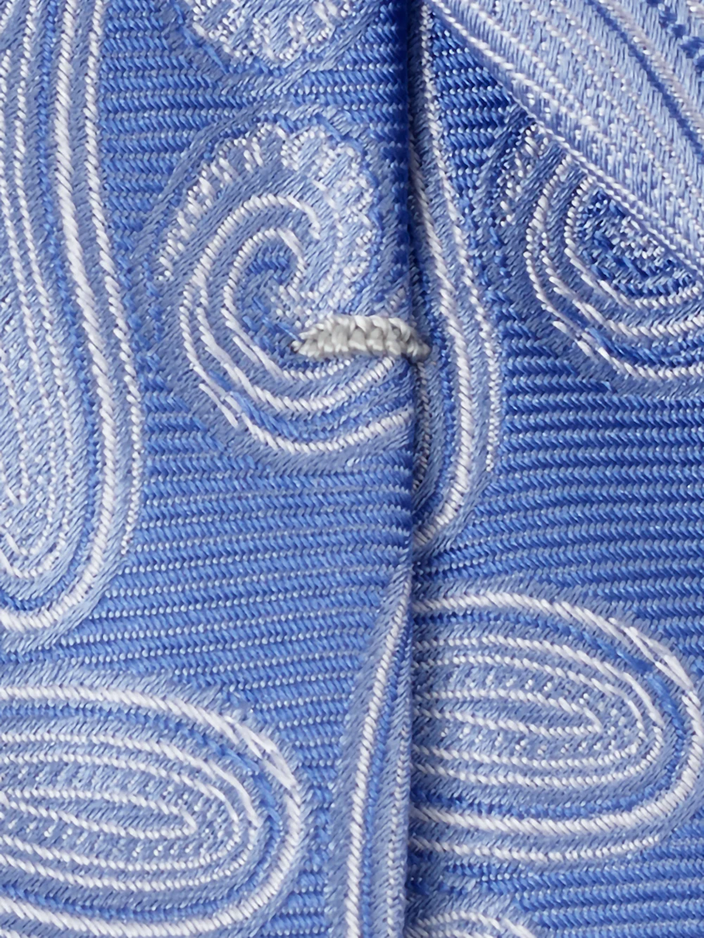 Paisley Woven Silk Tie - Blue - Image 4